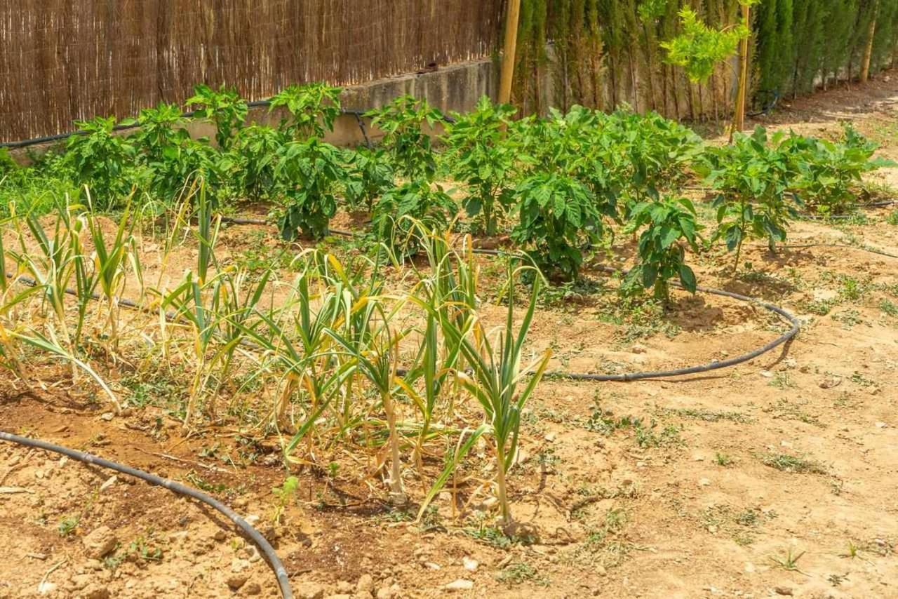 Casa Rural Don Lope El Canuelo  外观 照片